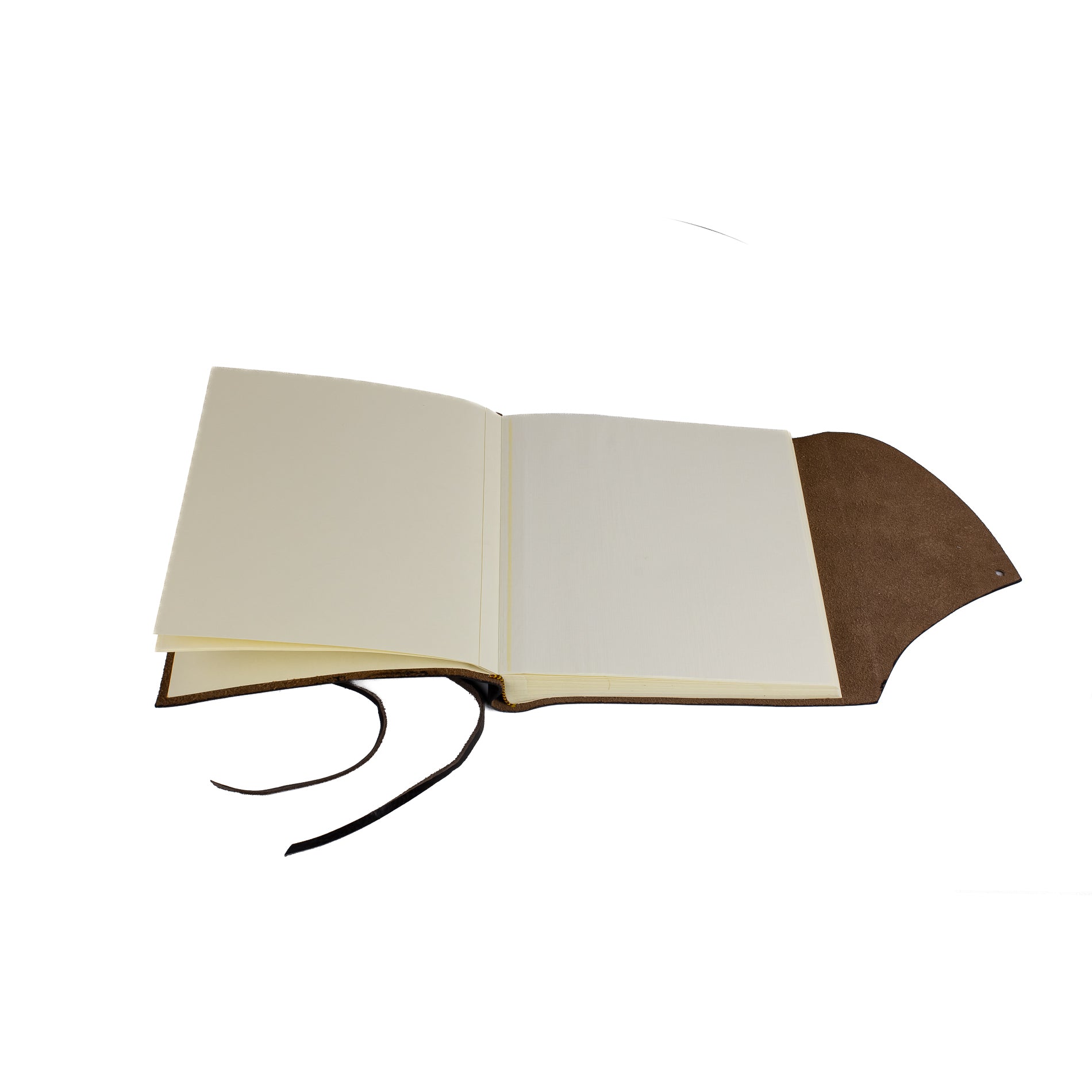 #Color_Testa di Moro