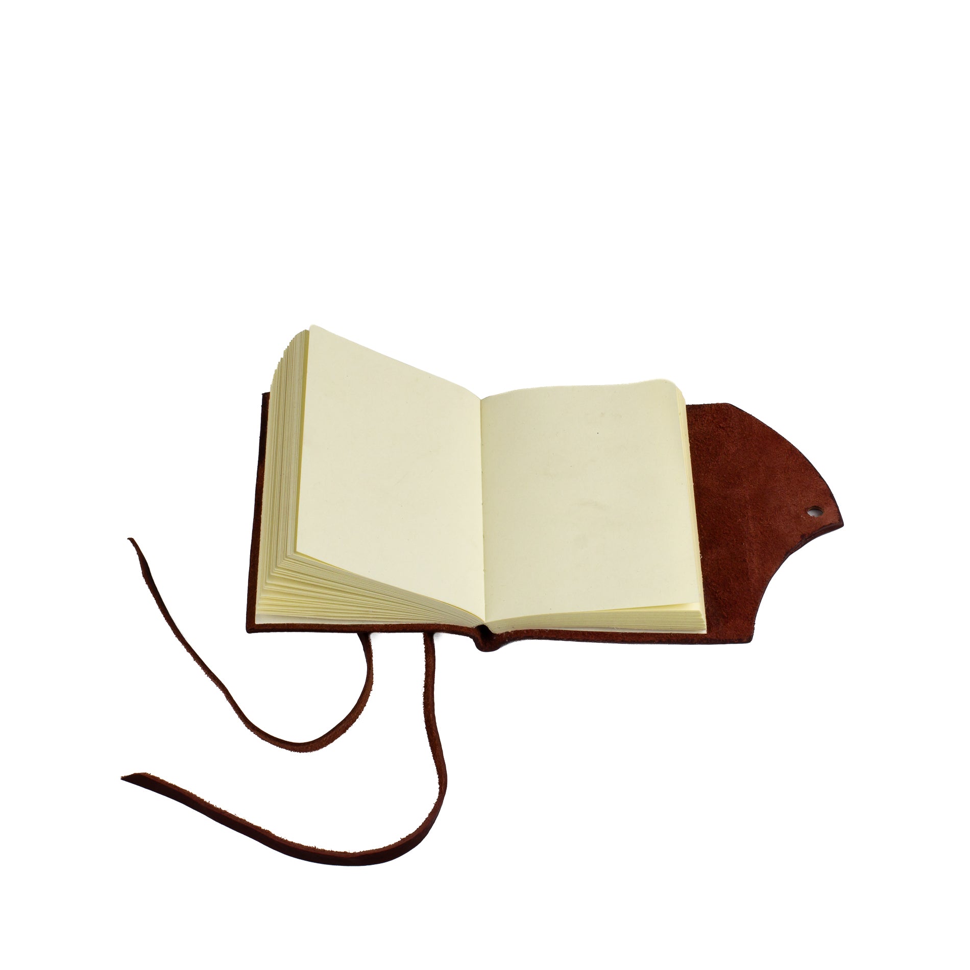 #Color_Testa di Moro