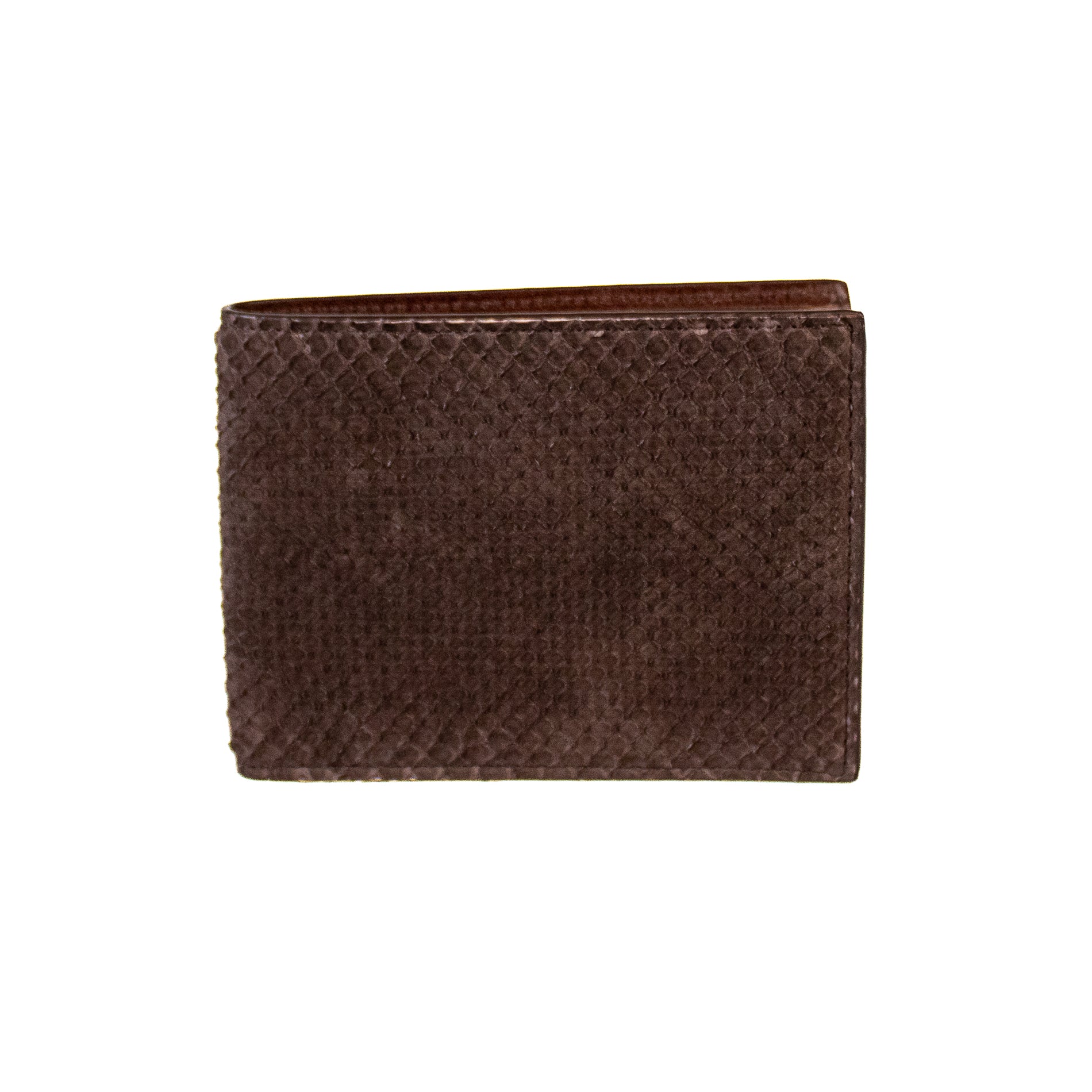 #Color_Testa di Moro