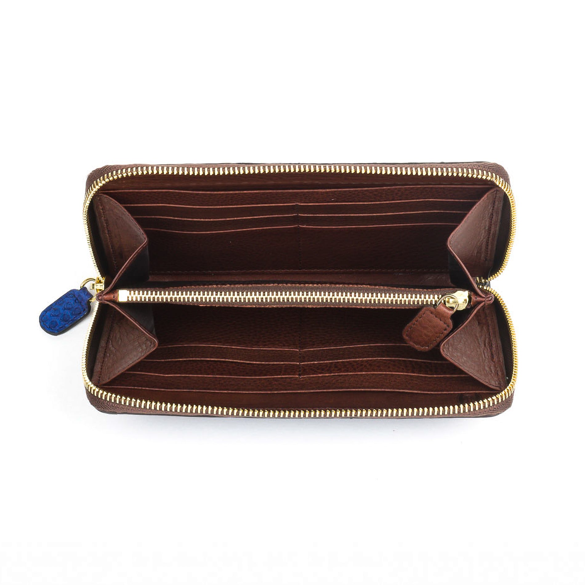 Iva blu - portafoglio donna in pitone con zip