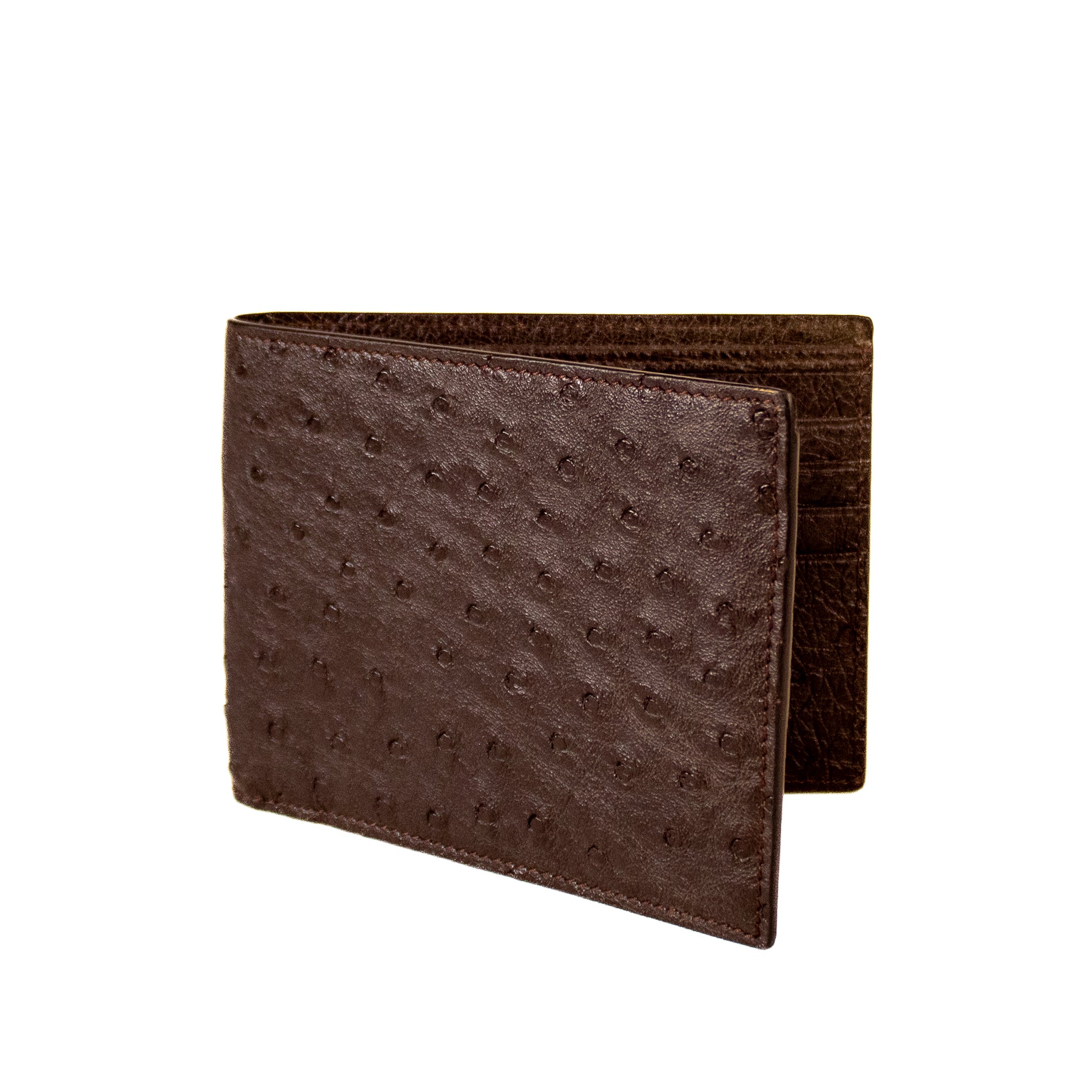 #Color_Testa di Moro