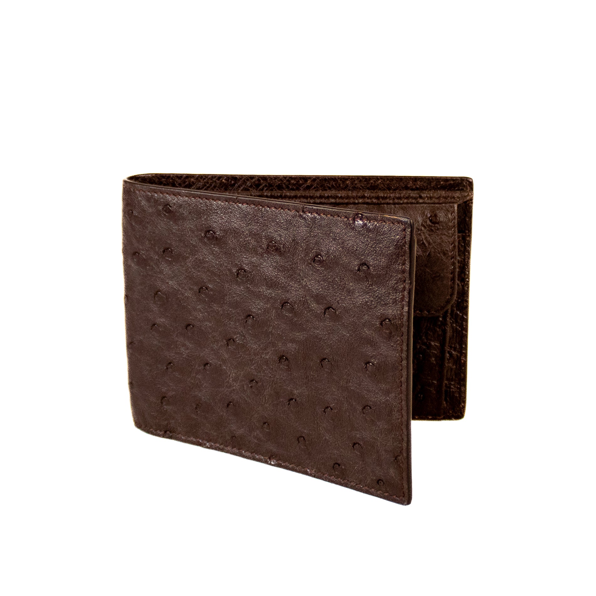 #Color_Testa di Moro