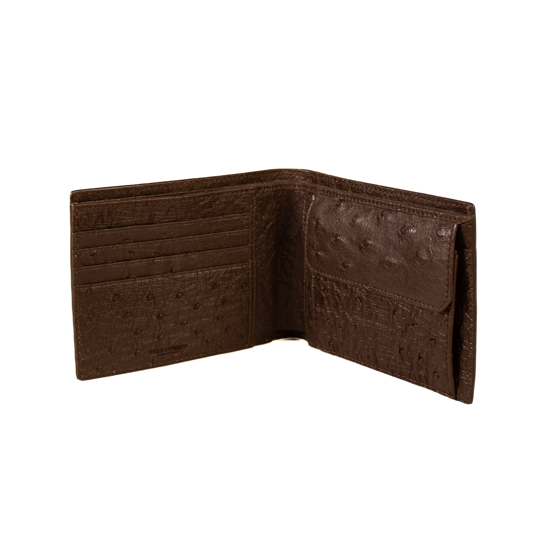 #Color_Testa di Moro