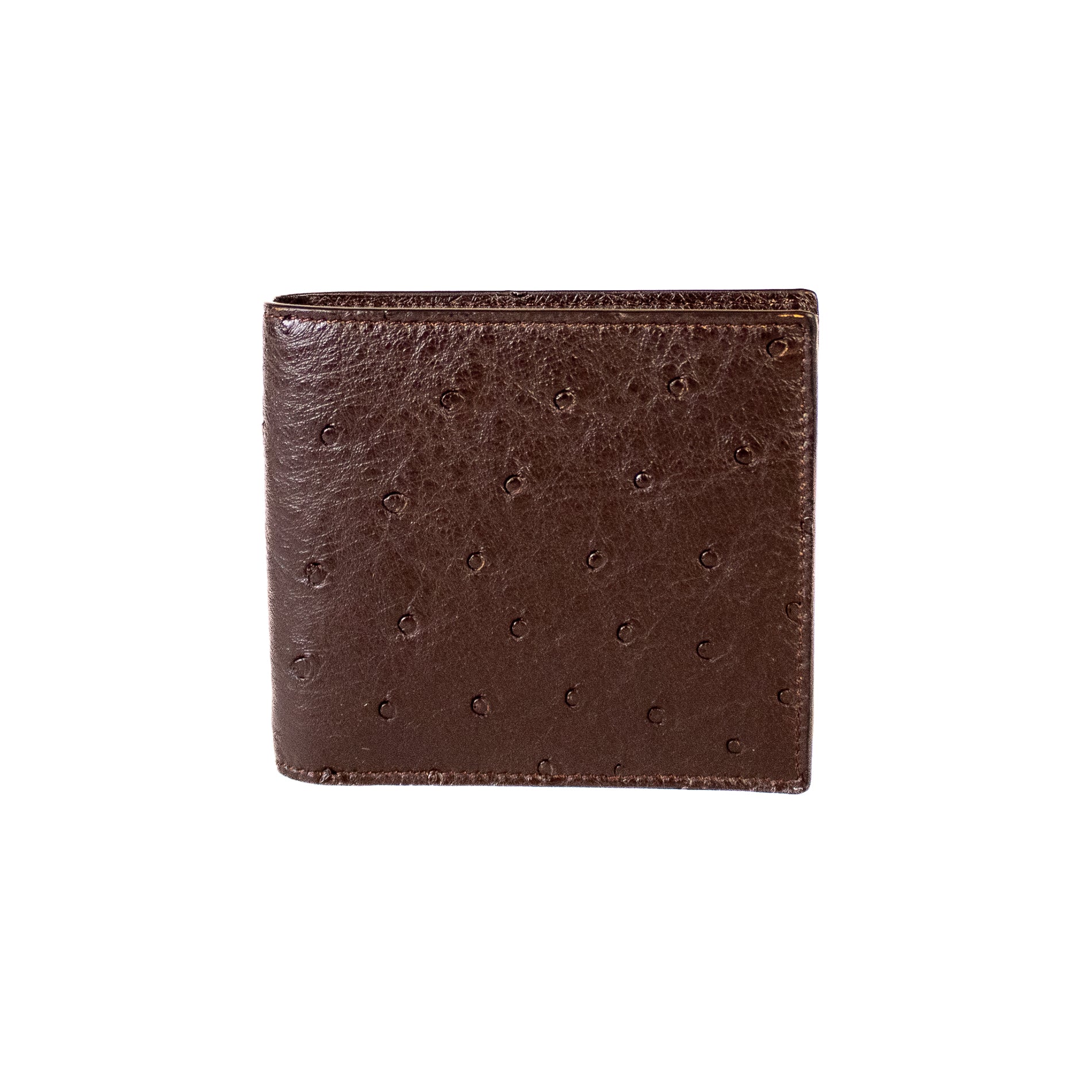 #Color_Testa di Moro