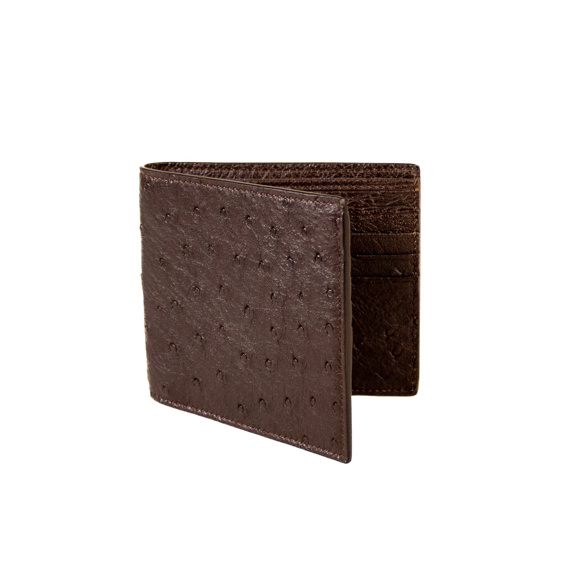 #Color_Testa di Moro