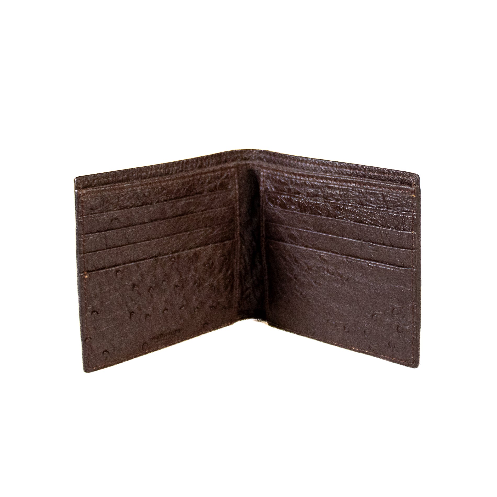 #Color_Testa di Moro