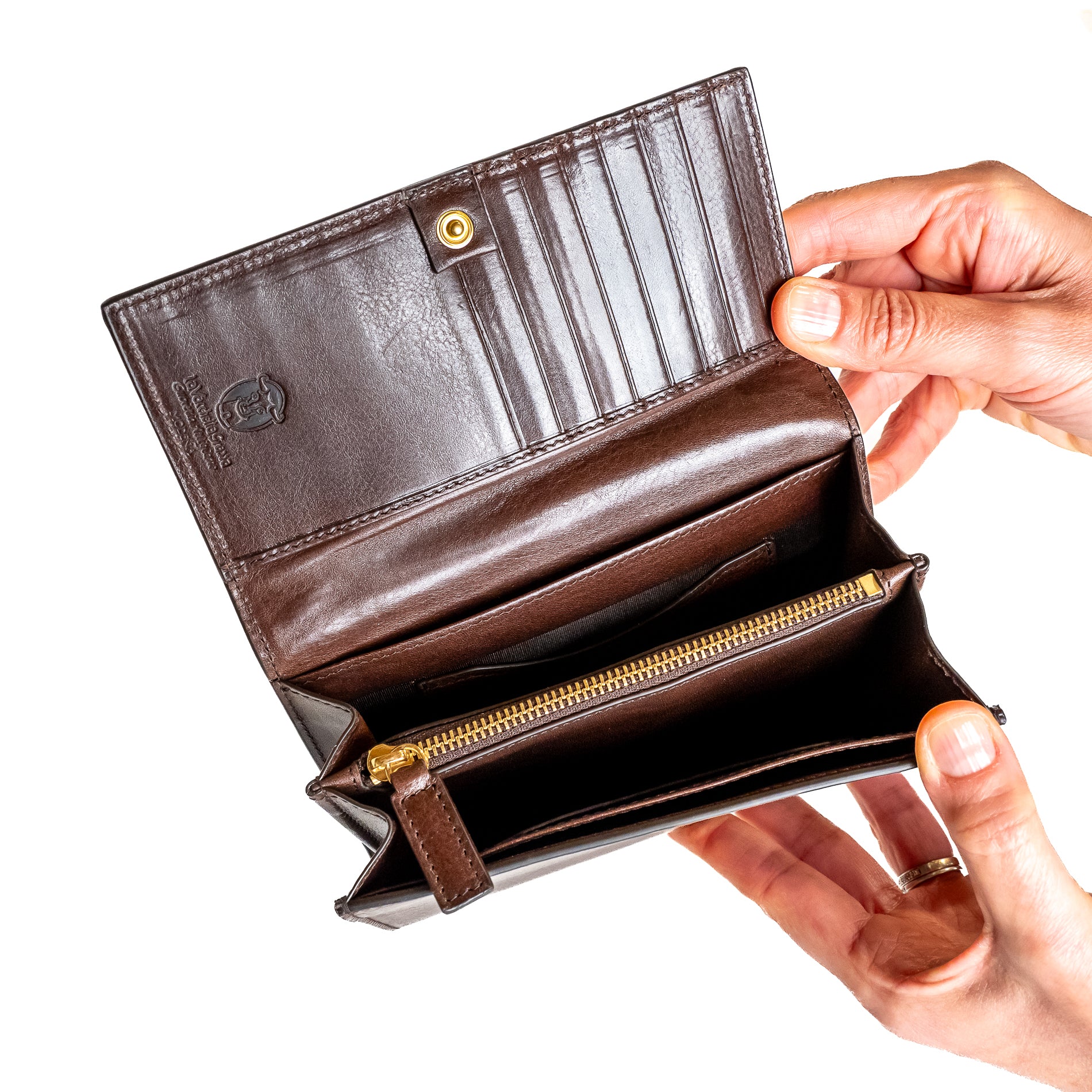 #Color_Testa di Moro